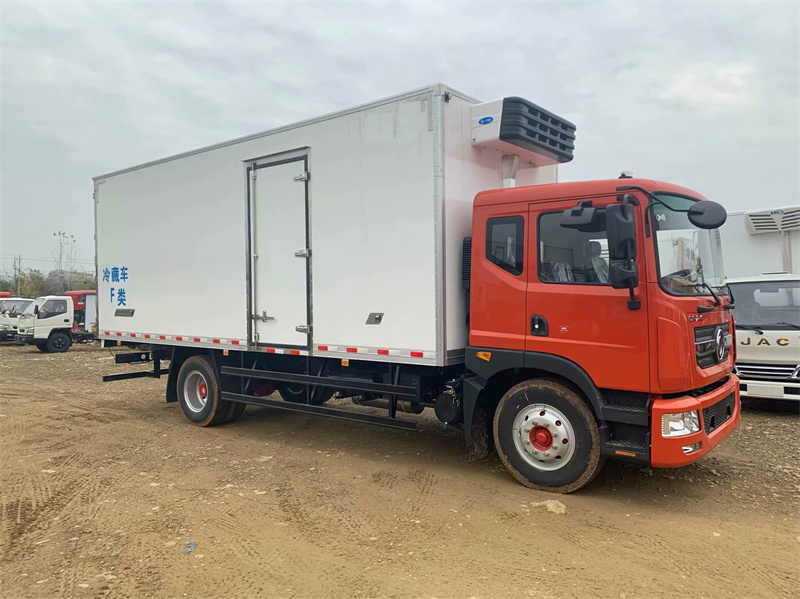 東風多利卡D9冷藏車 東風多利卡D9冷藏車