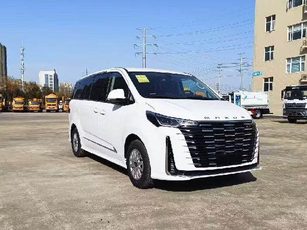 大通G10 自動(dòng)擋檢測(cè)車(chē)（商務(wù)版）