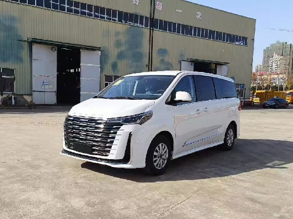 大通G10 自動擋檢測車(商務(wù)版) 大通G10 自動擋檢測車(商務(wù)版)